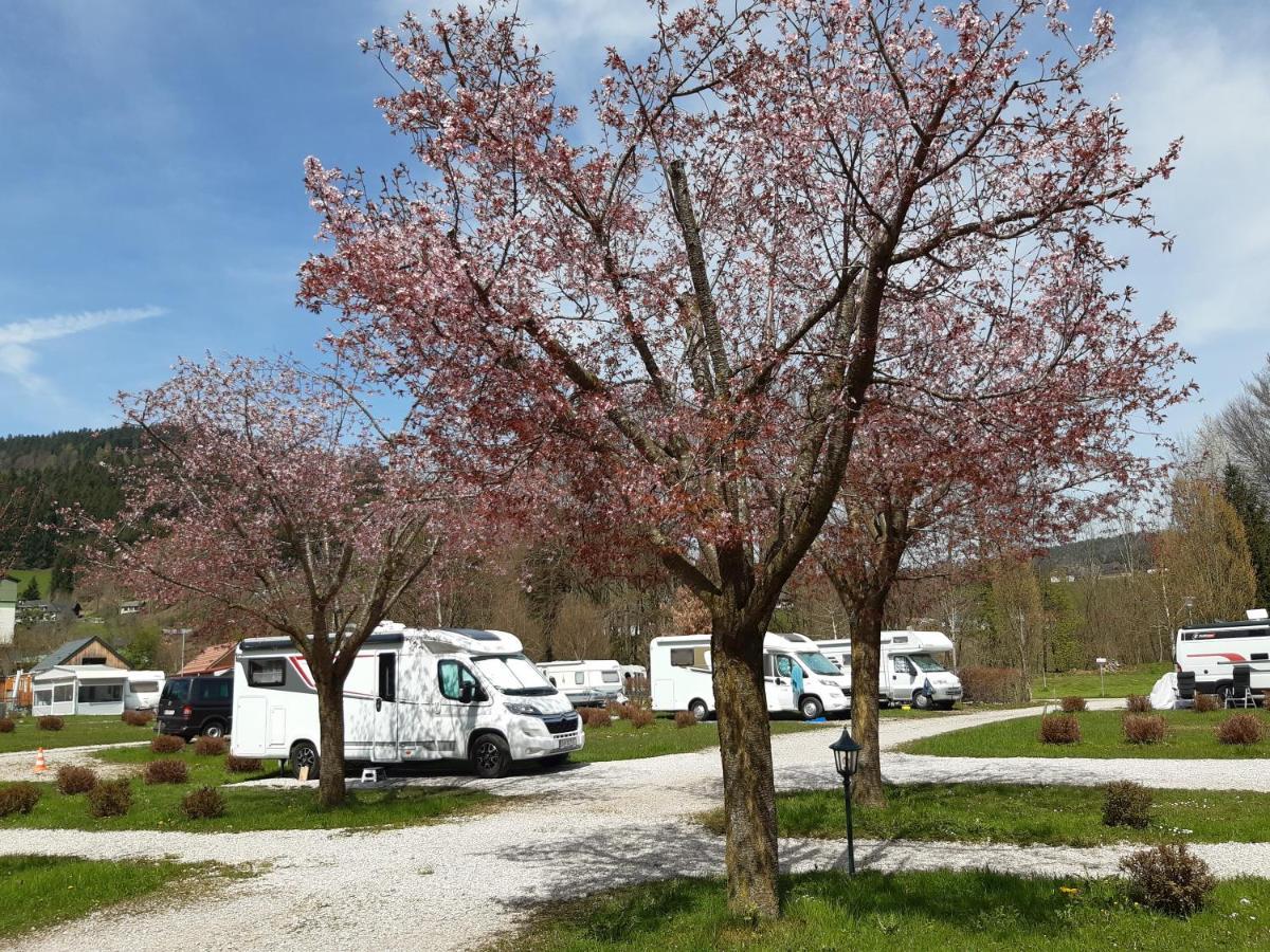 Campingfass Almtal Scharnstein Екстер'єр фото