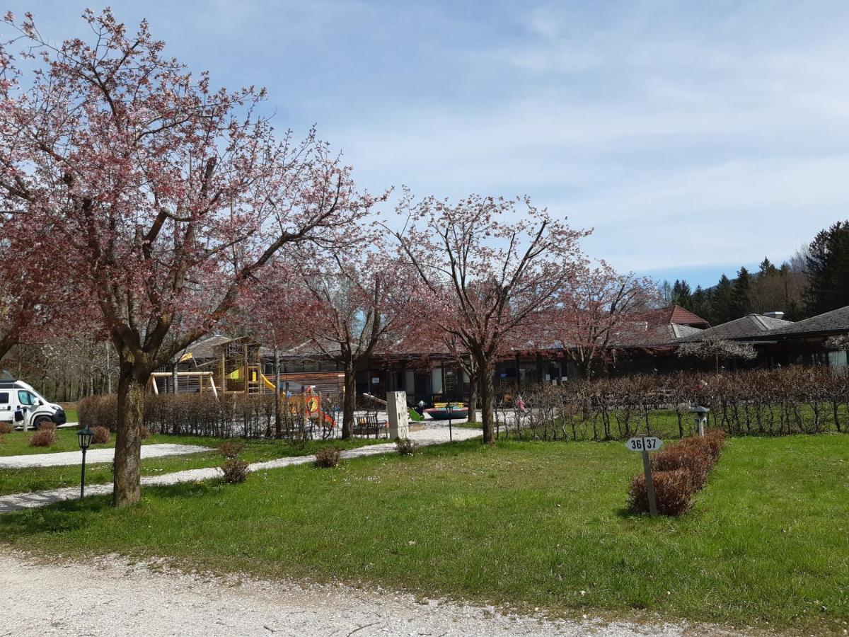 Campingfass Almtal Scharnstein Екстер'єр фото