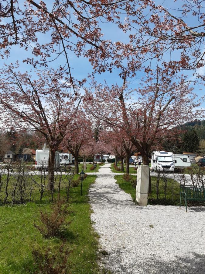 Campingfass Almtal Scharnstein Екстер'єр фото
